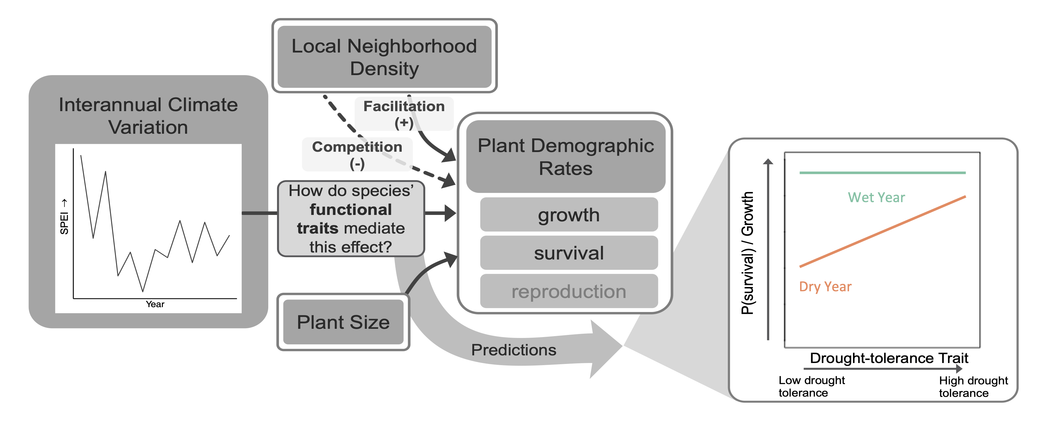 Conceptual diagram of the effects of traits, climate, and other factors of plant demographic rates