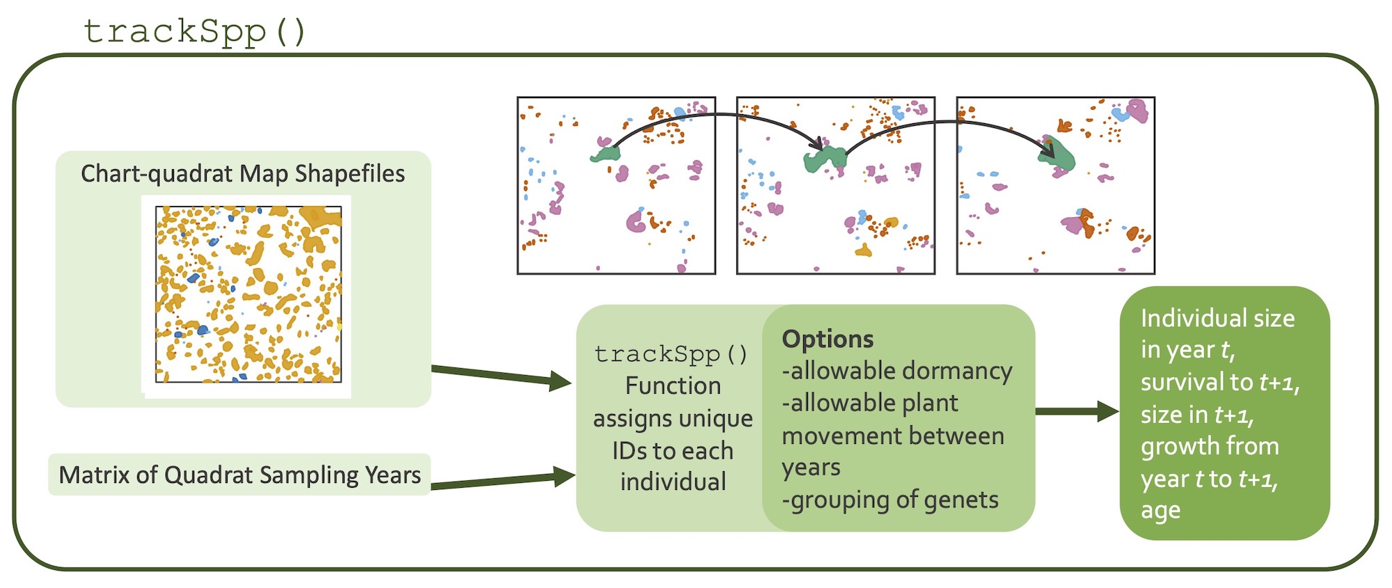 A diagram of how the trackSpp() function works
